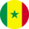 Flag of Senegal